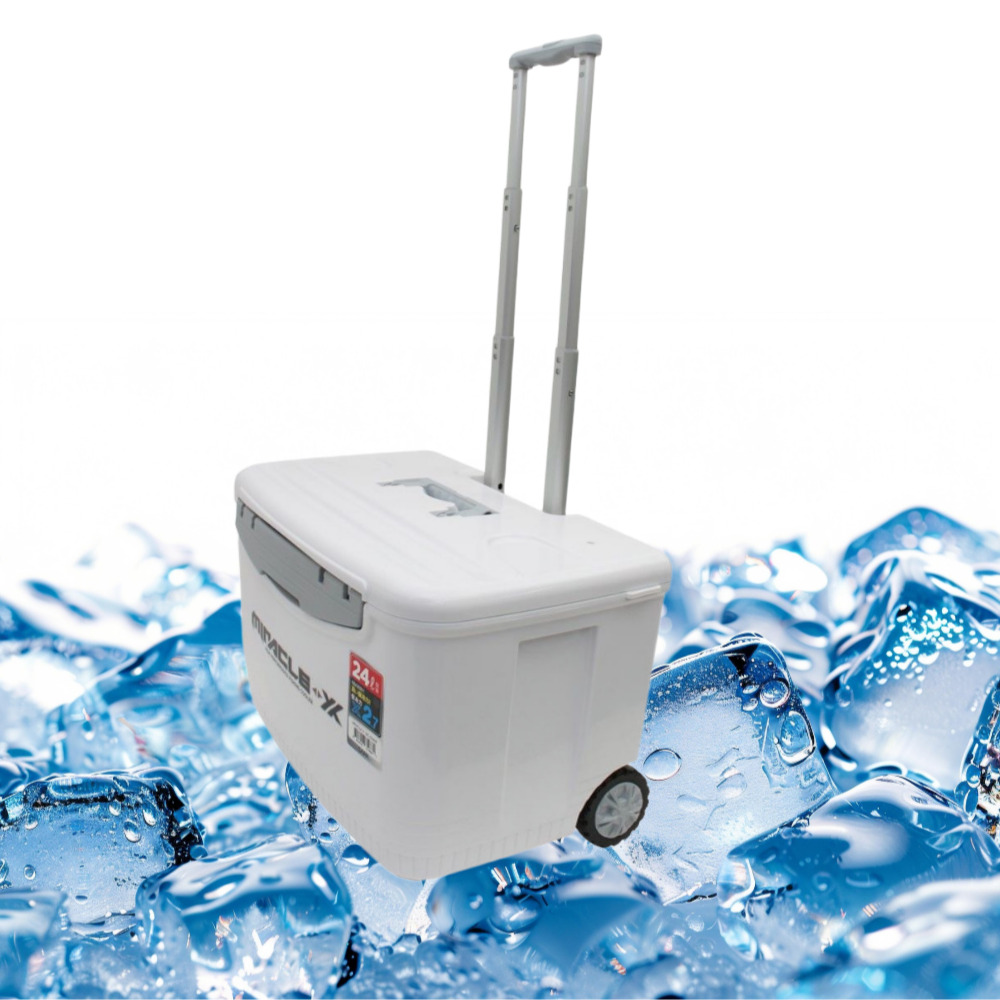 아이스박스 쿨링백 보냉백 가방 코스트코 쿨러 오래가는 보냉팩 캠핑 대형 캐리어형 24L