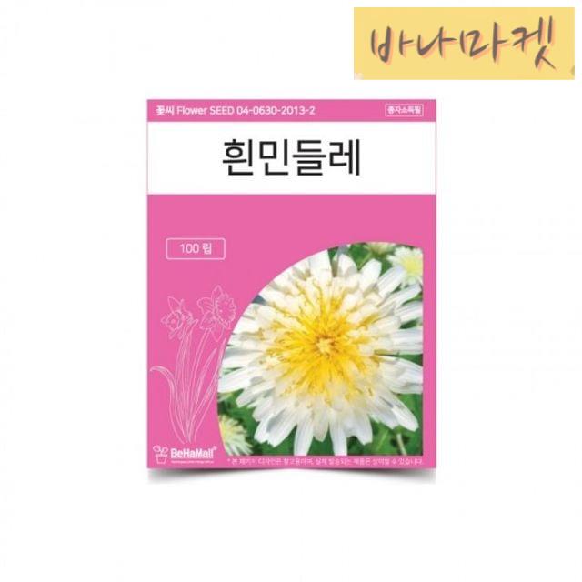 흰민들레 꽃씨 씨앗 텃밭 정원용 생태정원 텃밭채소 씨앗 : 칠바나마켓