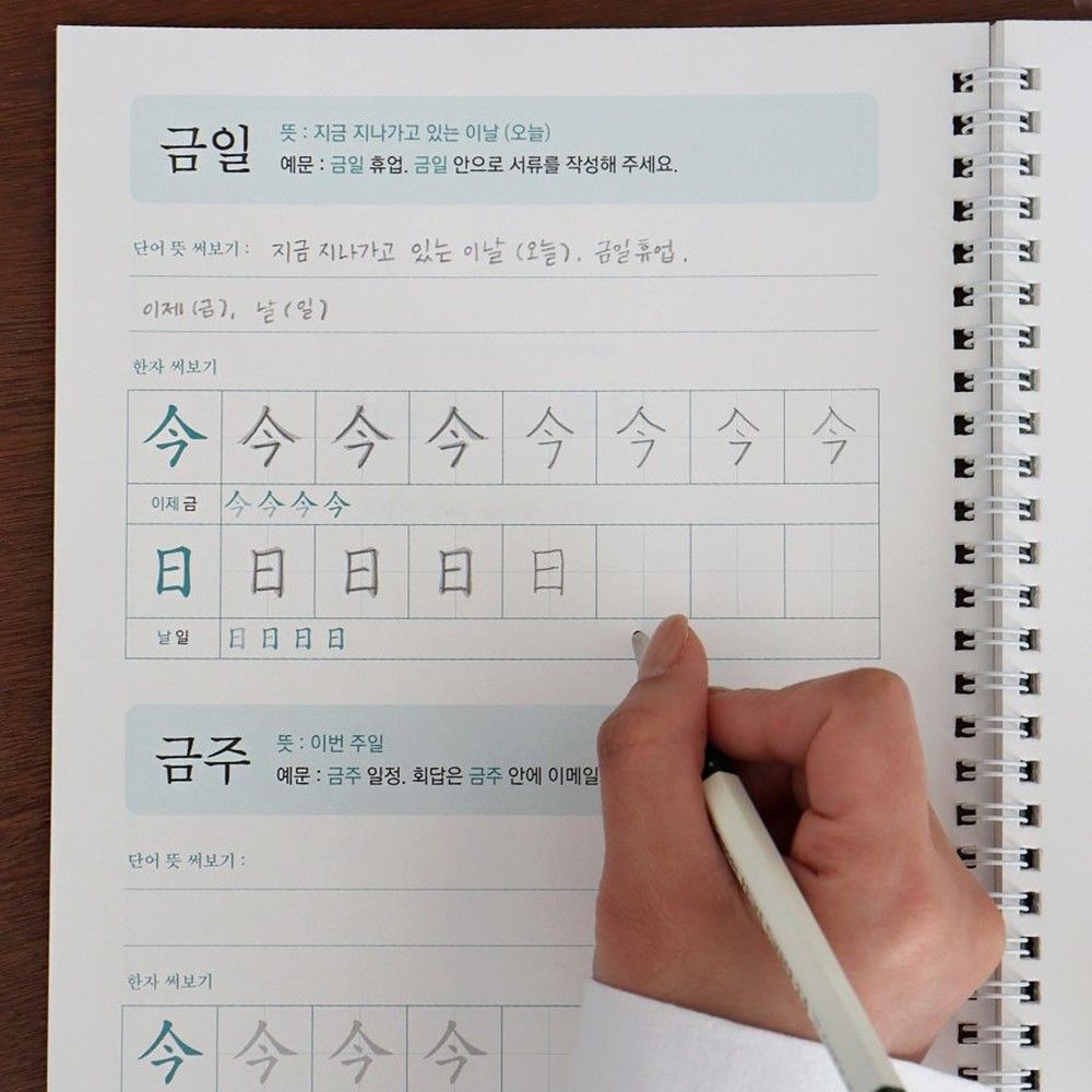 한자로 배우는 어휘 100단어 단어필사 문해력 신입사원 선물 이미지 8