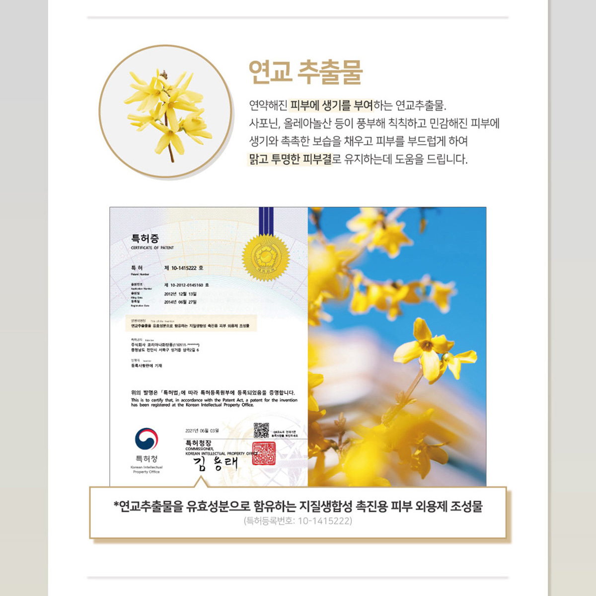 로댕쇼 연교 아이백 아이크림 케어 30ml, 3개 - 상세 이미지 3