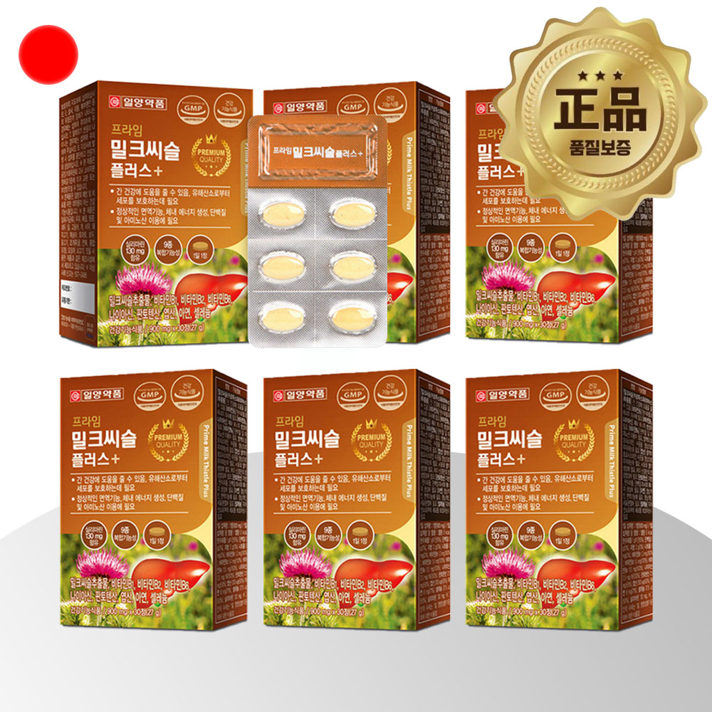 실리마린 밀크씨슬 간건강 130mg 6박스 6개월분 밀크씨슬실리마린 - 상품 이미지