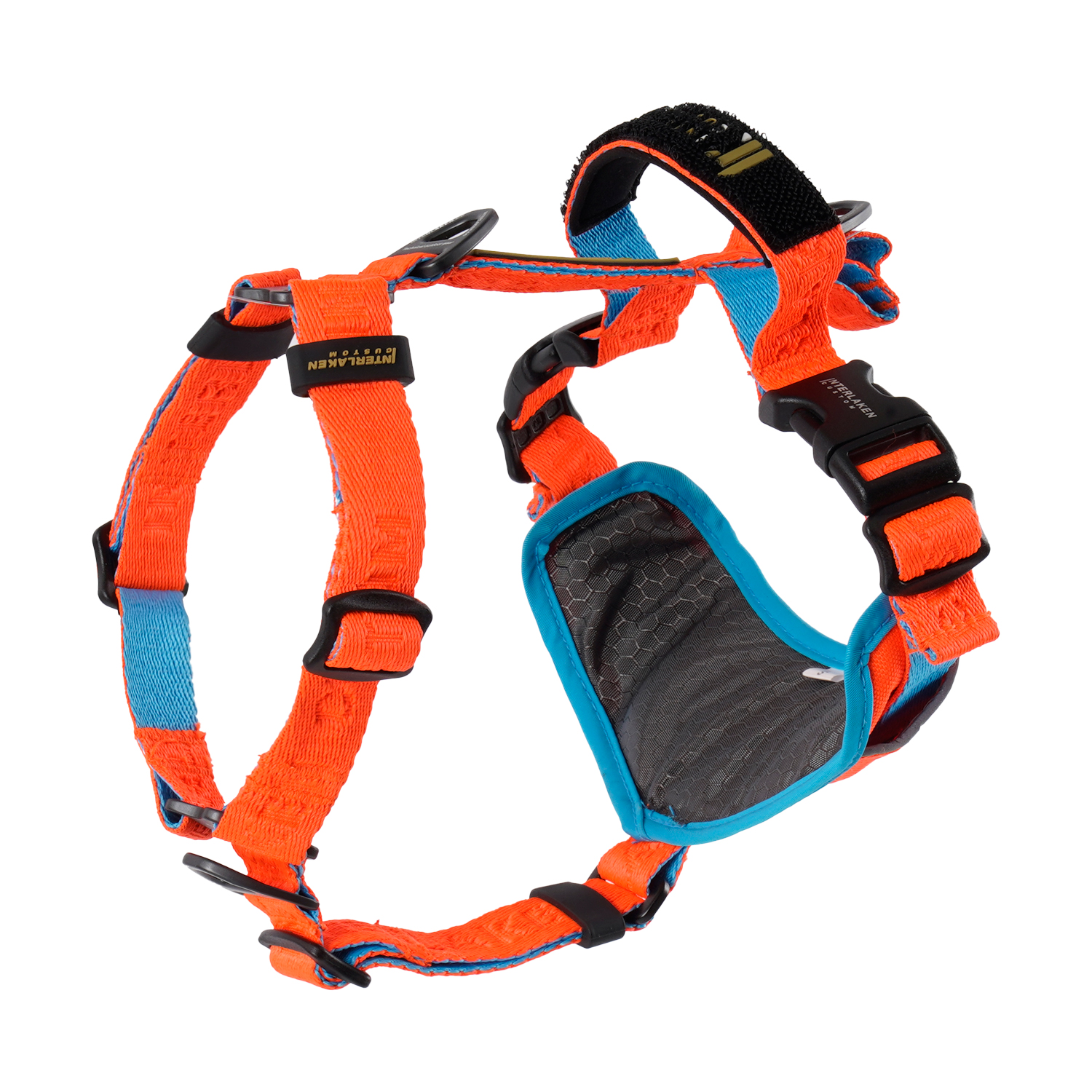 인터라켄 어스텍 H형 강아지 끈 하네스 XS