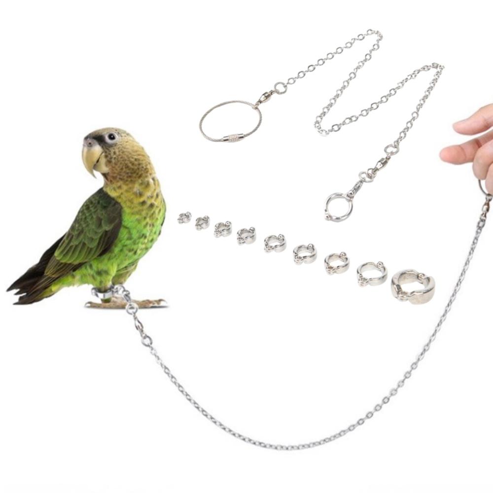 앵무새 발목 링 훈련 앵무새 산책 줄 리드 조류용품