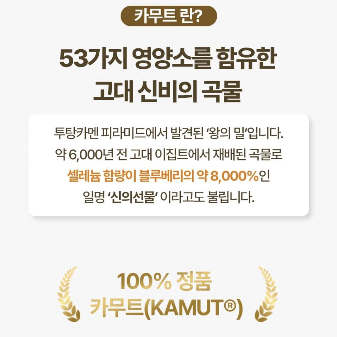 카무트 브랜드밀 효소 분말 가루 30포 카뮤트 호라산밀 발효효소 카므트 - 상세 이미지 3