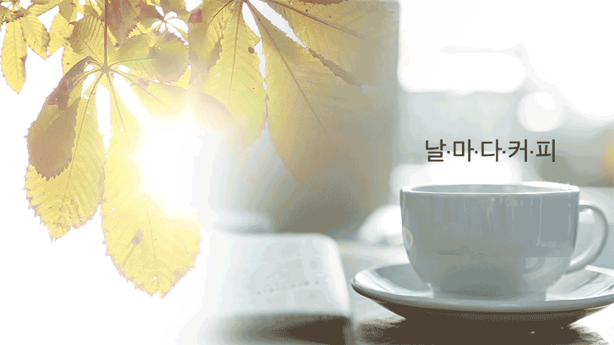 날마다커피 드립백커피 데일리 패키지 스페셜티, 디카페인, 블렌딩 12g 7개입 이미지 8