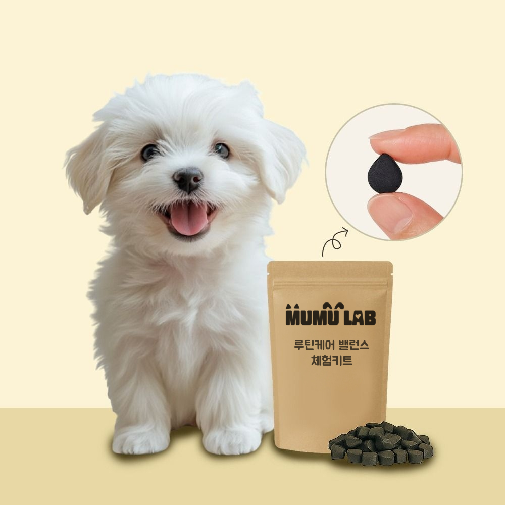 무무랩 강아지 종합 영양제 체험키트 관절 저알러지 반려견 슬개골 장건강 눈건강