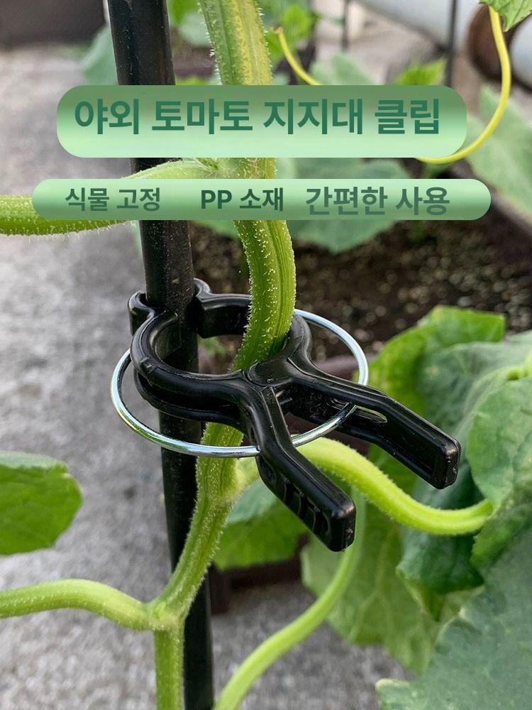 포도 오이 유인집게 클립 결속기 토마토 작물집게 검정색 10개 7~13mm - 상세 이미지 4