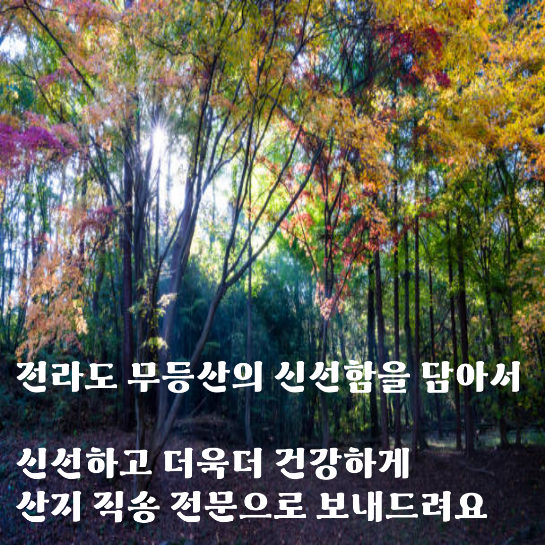 [프리미엄 특가] 미락마을 전라도 포기김치 전통  대통령상 수상 국내산 포기 김치 판매 1Kg 이미지 7