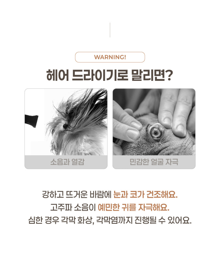 페페 펫드라이룸 DR-100PRO 소형견용 강아지 목욕 드라이룸 드라이기 애견 펫 건조기 판매처 상세 정보 이미지 3