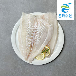 [당일작업] 제주 대광어 숙성 필렛 550g, 1개 맛있게 먹은 솔직 후기 - 상품 이미지 1