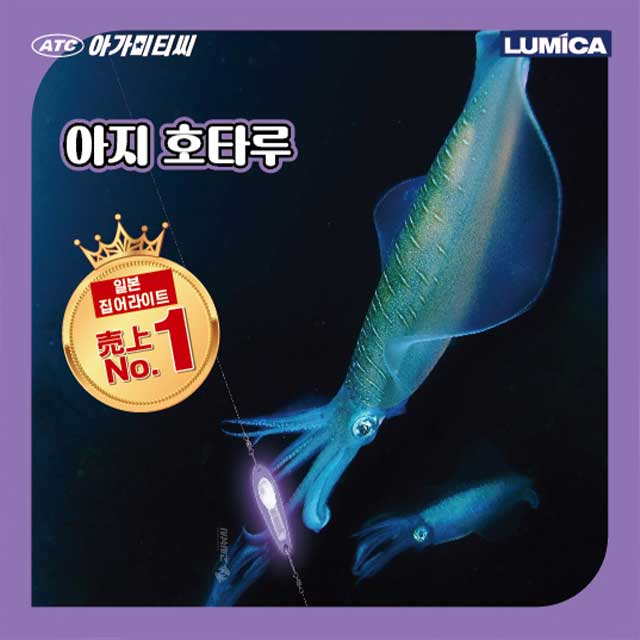 루미카 아지 호타루 케미 집어등 홀더 세트 볼락 전갱이 갈치 오징어 채비 - 상세 이미지 4