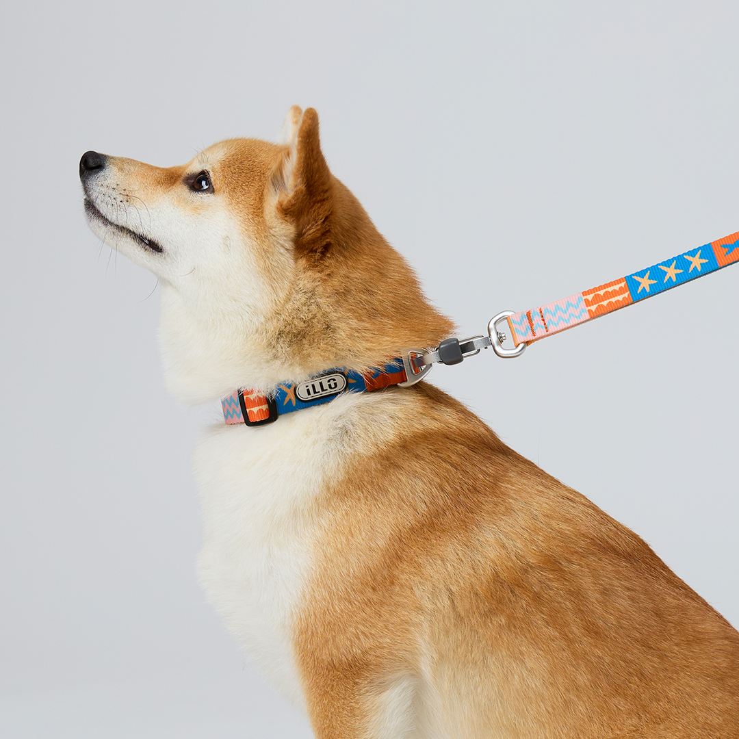 일로 리쉬 리드줄 반려견 산책용품 2m 샌드페블스, 2.4m 핸즈프리