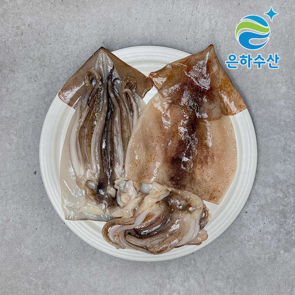 원양산 손질오징어 냉동 오징어 손질 통오징어