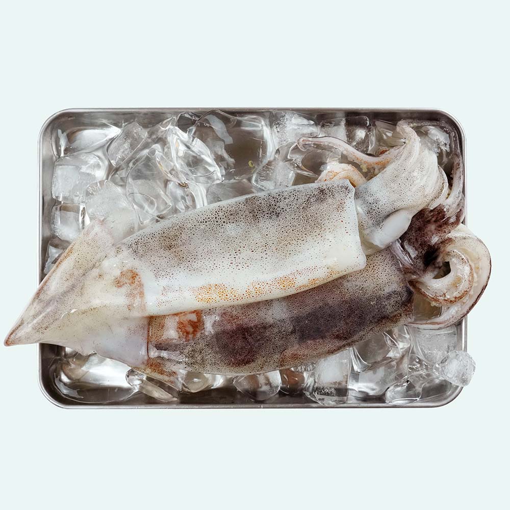 자연산 급냉 손질 통오징어 2마리 - 상품 이미지