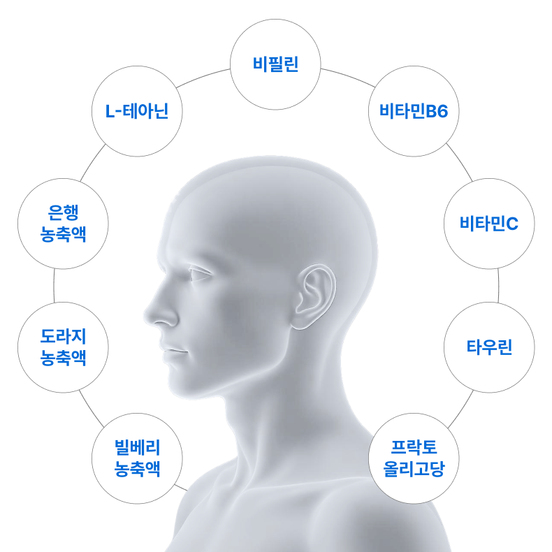 퓨어포커스 12캔 스마트 디카페인 에너지드링크 서울대 기술지주자회사 개발 누트로픽 L테아닌 - 상세 이미지 2