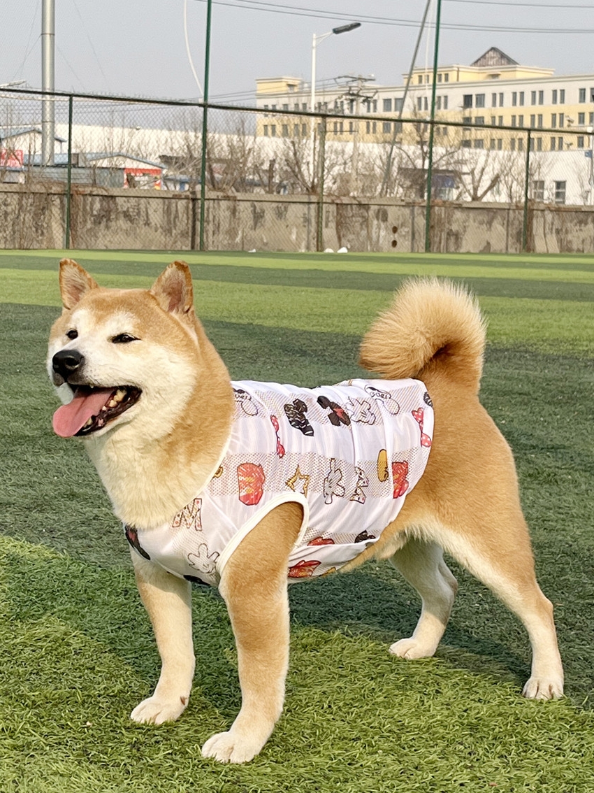 위드레오 강아지쿨나시 대형견여름옷 털빠짐방지 진드기 망사옷 베리스트로베리, XS - 상세 이미지 5