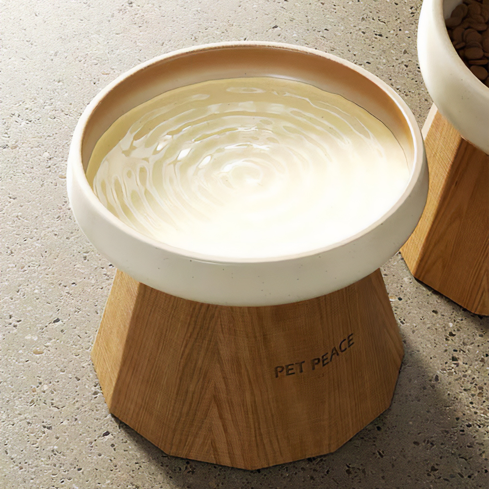 강아지 식탁 애견 물 밥 그릇 고양이 식기