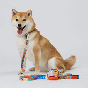 일로 샌드페블스 풉백 똥봉투 똥츄 배변 봉투 파우치 솔직 후기 | 실제 사용자 리뷰 총정리 - 상품 이미지 3