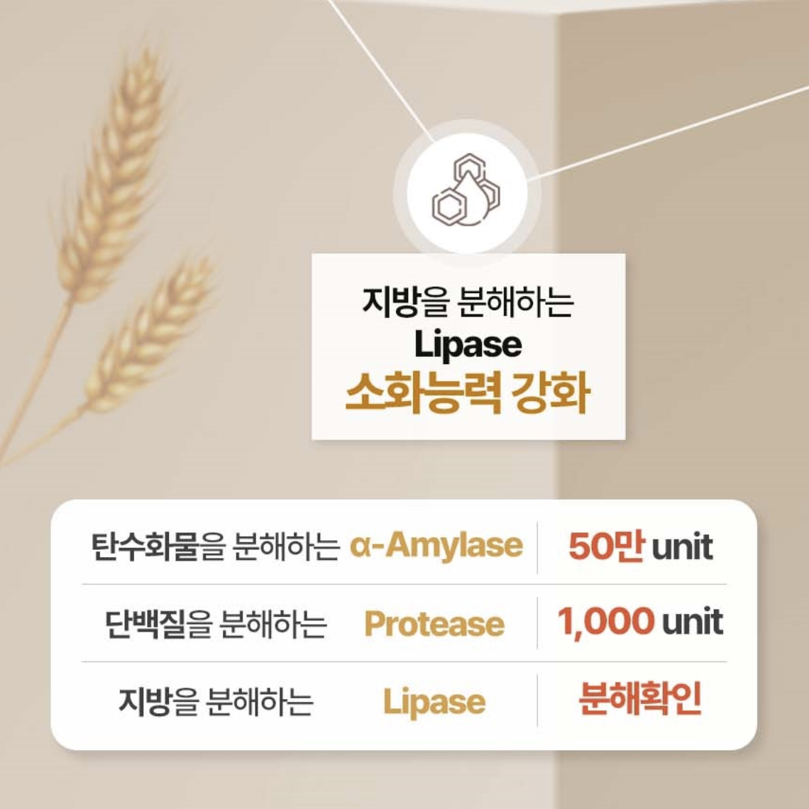 카무트 브랜드밀 효소 분말 가루 30포 카뮤트 호라산밀 발효효소 카므트 이미지 6