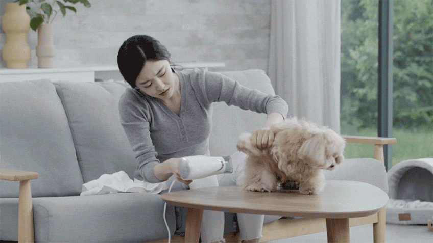 페페 펫드라이룸 DR-100PRO 소형견용 강아지 목욕 드라이룸 드라이기 애견 펫 건조기 판매처 상세 정보 이미지 4