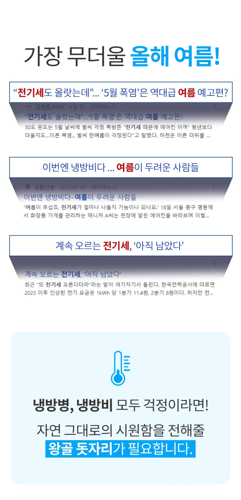올리다 왕골 돗자리 자리 매트 함평 국산 여름 제사 난초무늬 1인용 판매처 상세 정보 이미지 4