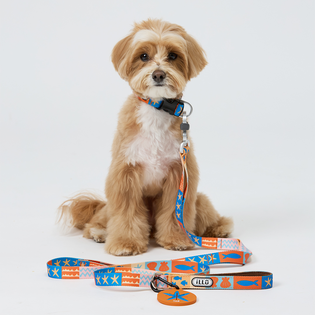 일로 리쉬 리드줄 반려견 산책용품 2m 샌드페블스, 2.4m 핸즈프리