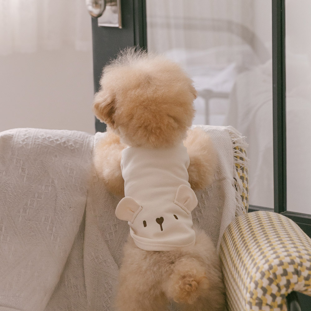 [강아지의날]강아지옷 애견 실내복 티셔츠 아임베어 이미지 4