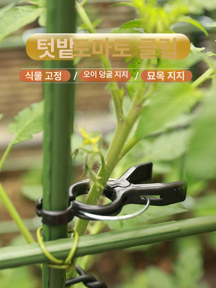 포도 오이 유인집게 클립 결속기 토마토 작물집게 검정색 10개 7~13mm - 상세 이미지 2