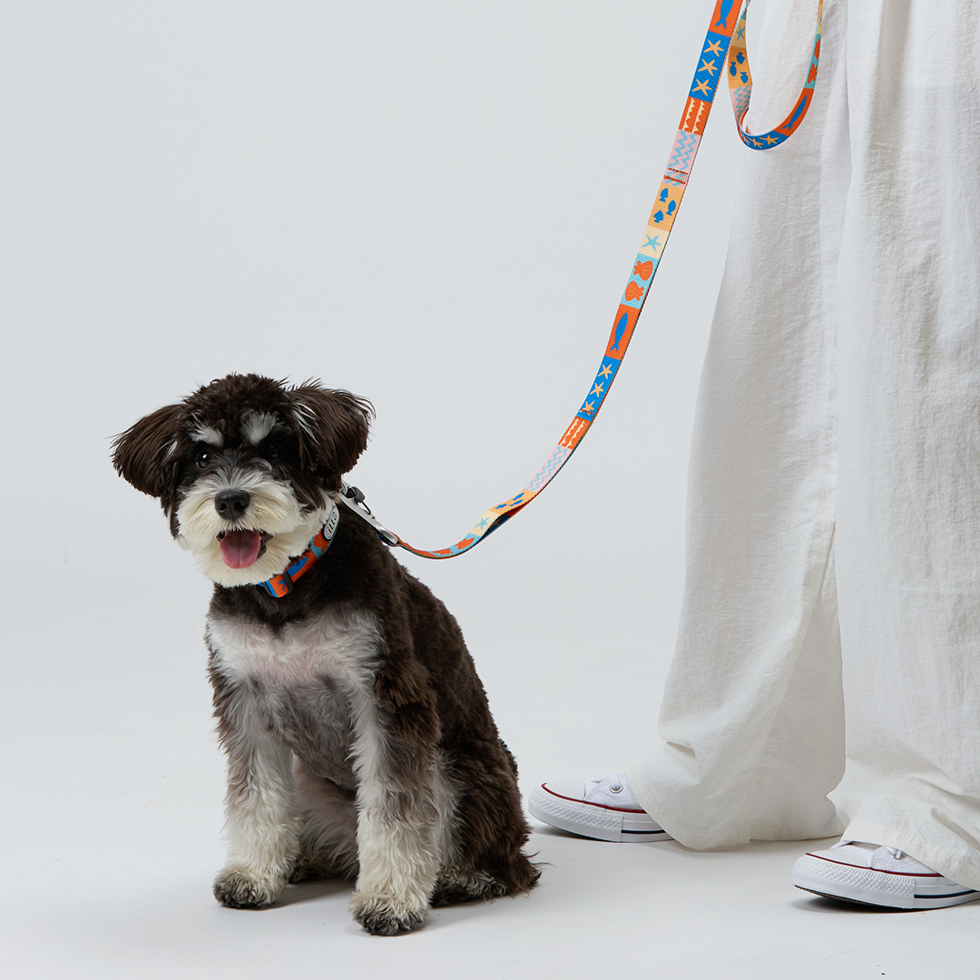 일로 리쉬 리드줄 반려견 산책용품 2m 샌드페블스, 2.4m 핸즈프리