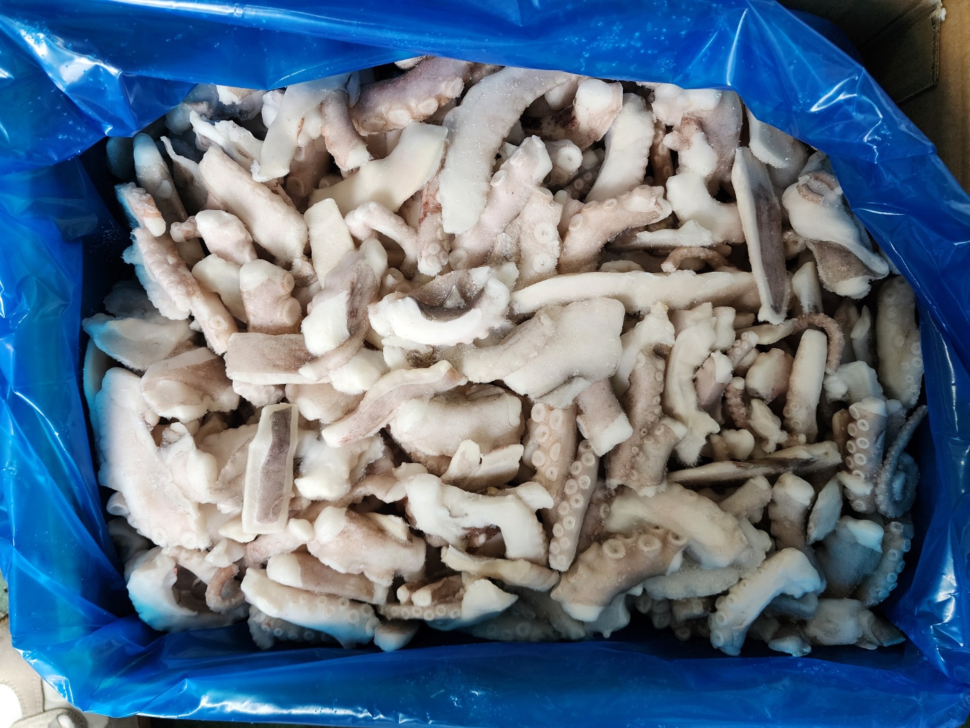 손질낙지 10kg 한알한알 얼린 대용량 업소용 절단낙지 IQF