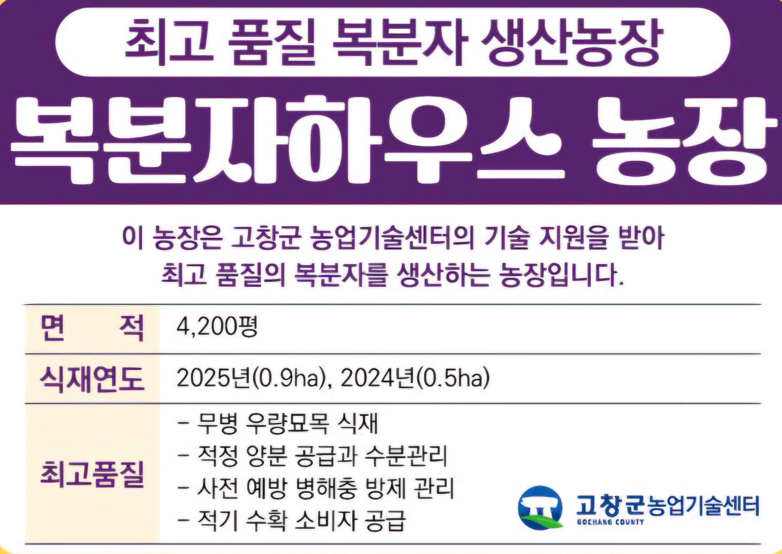 고창산 토종 복분자열매+생즙2포+거름망 발효비닐 레시피 10kg, 2개 - 상세 이미지 3