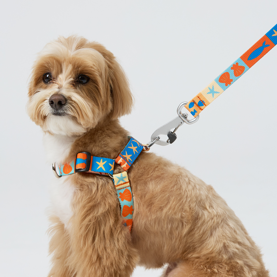 일로 하네스 (L형) 강아지 반려견 소형견 중형견 가슴줄 샌드페블스, M