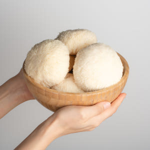 [깐깐한농부] 진한 노루궁뎅이버섯 액기스 버섯즙 진액 - 무농약 건강식품... 맛있게 먹은 솔직 후기 - 상품 이미지 3