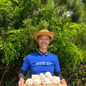 [깐깐한농부] 진한 노루궁뎅이버섯 액기스 버섯즙 진액 - 무농약 건강식품... 맛있게 먹은 솔직 후기 - 상품 이미지 1