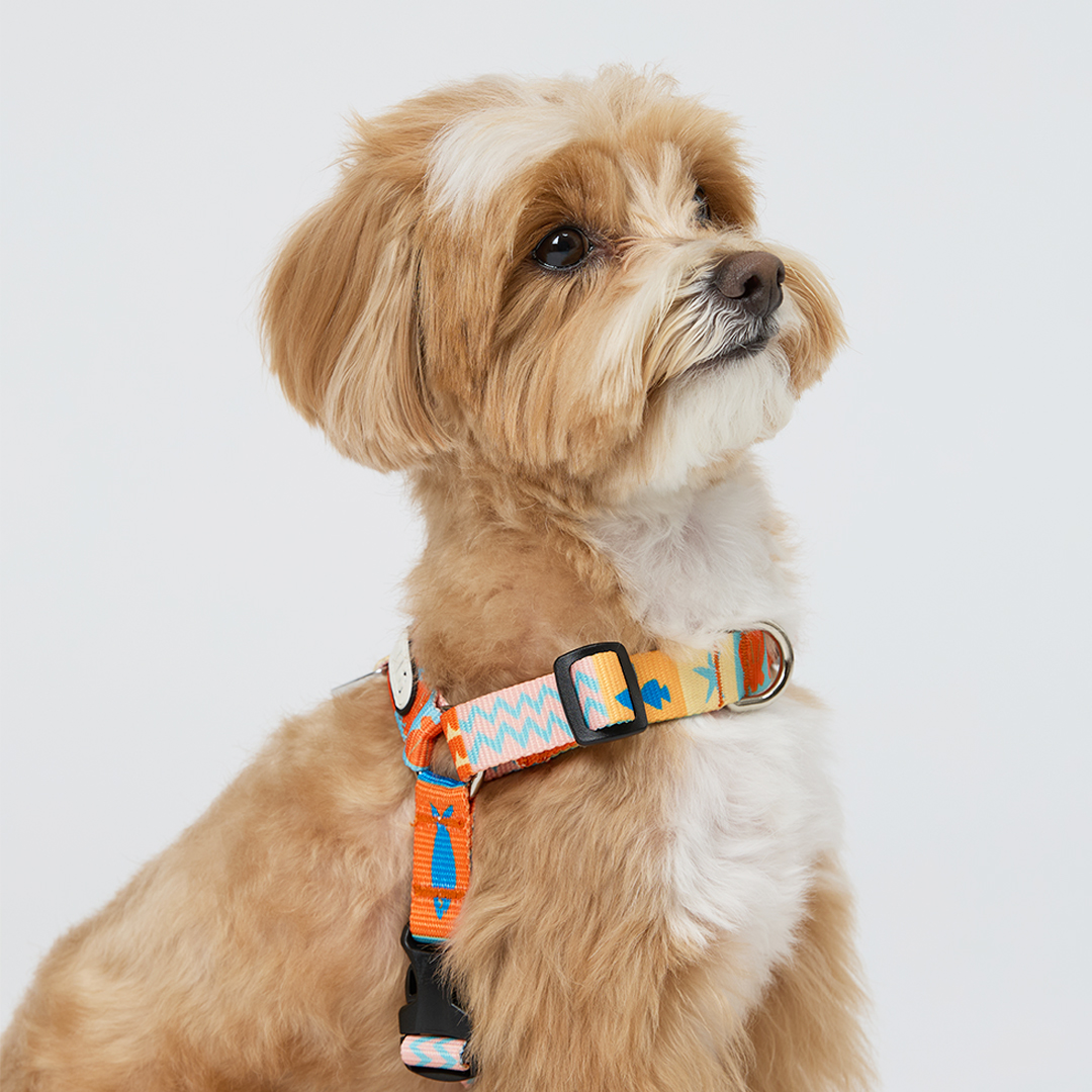 일로 하네스 (L형) 강아지 반려견 소형견 중형견 가슴줄 샌드페블스, M