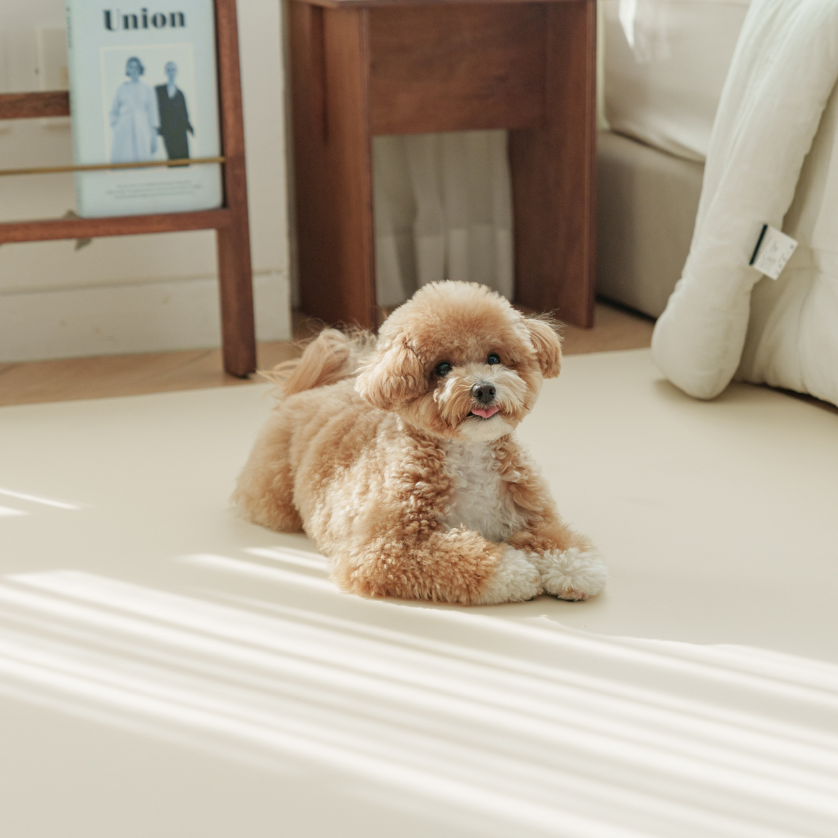 개놀자 슬림 실리콘 강아지 롤매트 애견 고양이 미끄럼방지 매트 아이보리, 140x300cm