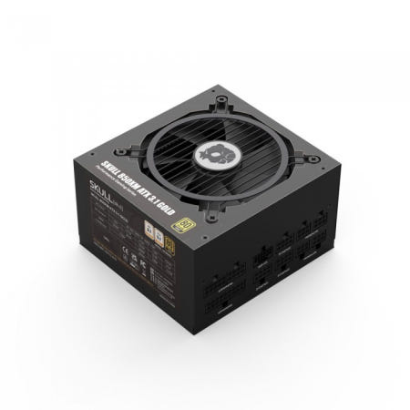NEWZEN SKULL 850XM 풀모듈러 ATX3.1 80PLUS 골드 파워