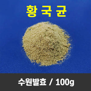 황국균 100g 종국 수원발효 황국 개량메주 알메주 메주만들기 된장 막장... 맛있게 먹은 솔직 후기 - 상품 이미지 1
