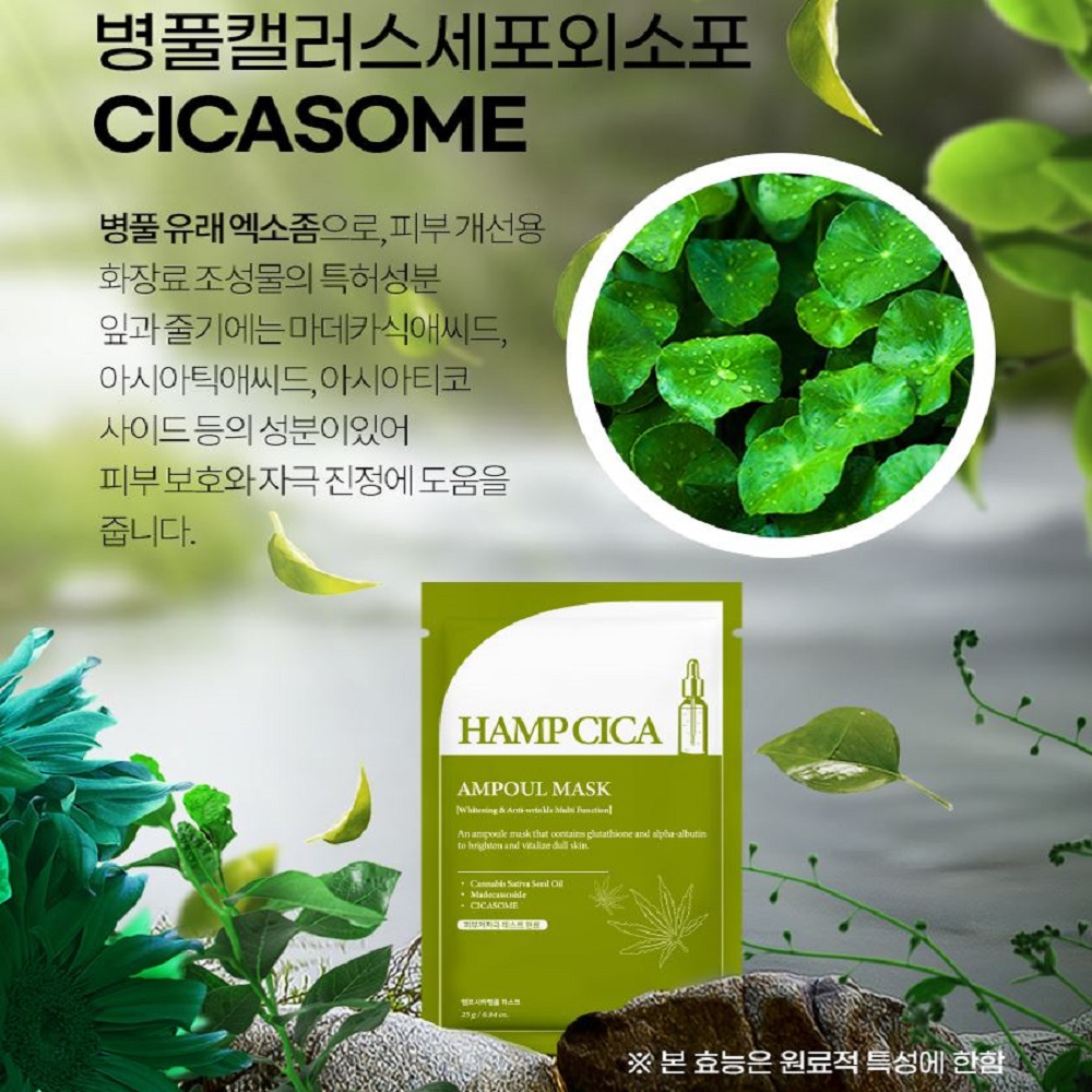 숲작 햄프시카 앰플x2 마스크팩 예민보스 5+5 햄프씨드오일 병풀유래 시카 마데카소사이드 - 상세 이미지 5