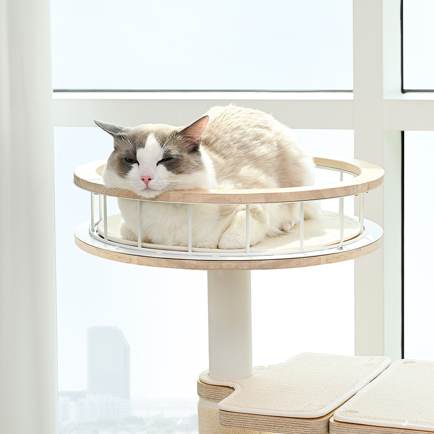 펫코본 캣타워 고양이 원목 숨숨집 캣워크 스크래쳐
