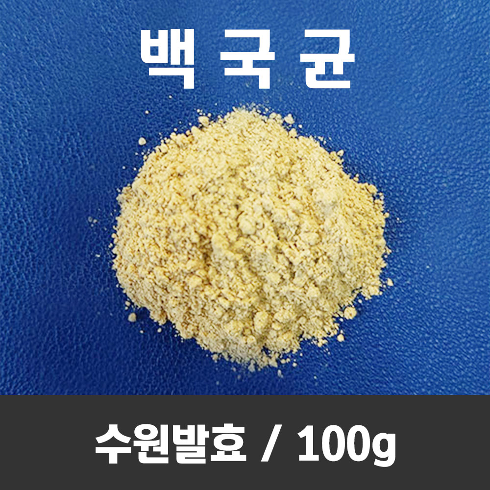 백국 100g 종국 수원발효 백국균 탁주 약주 누룩소금 장류 제조용 - 상품 이미지