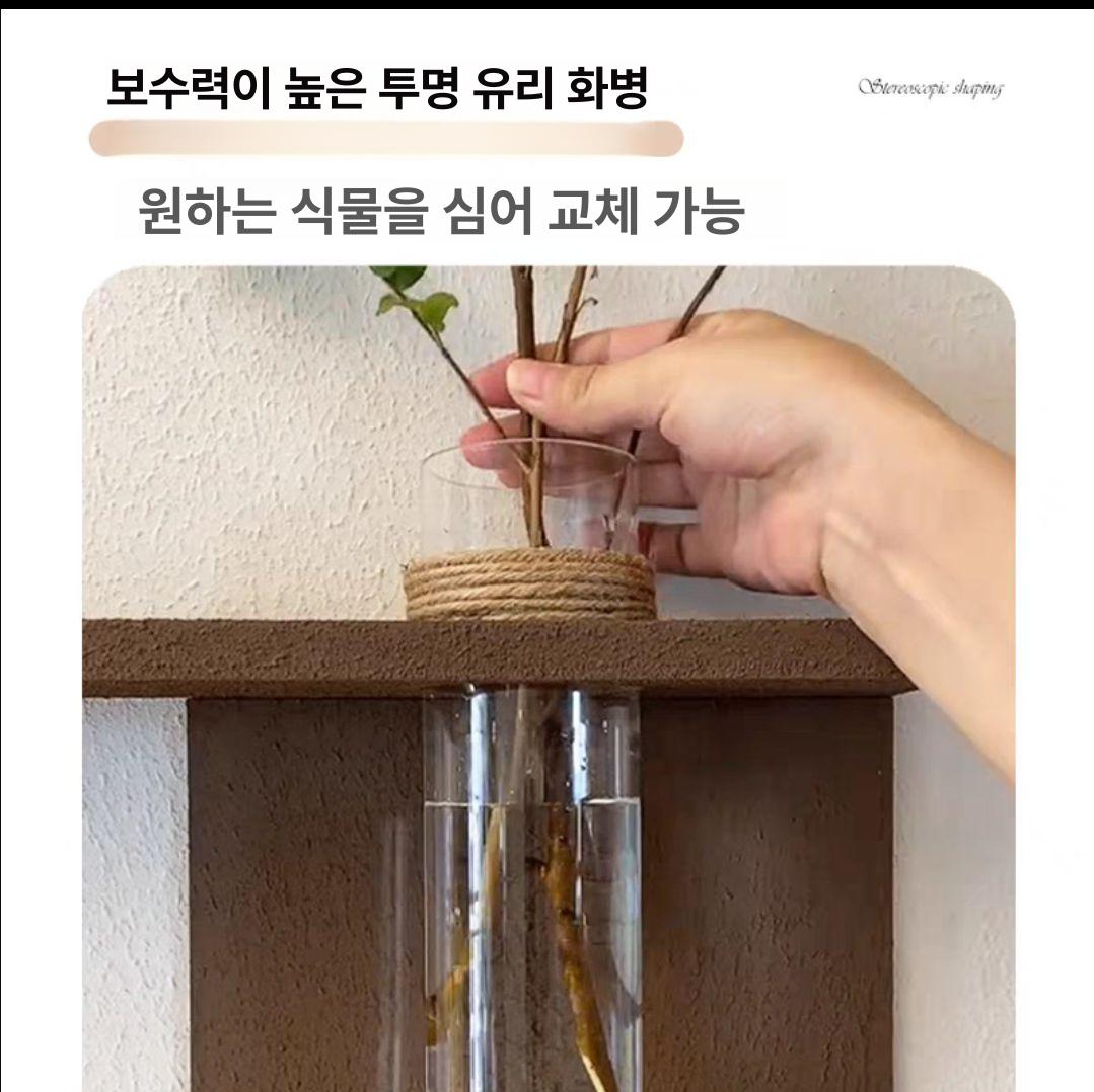 화분액자조명 원형 집들이 램프 꽃병 화분액자 벽걸이 녹색크림 - 상세 이미지 5