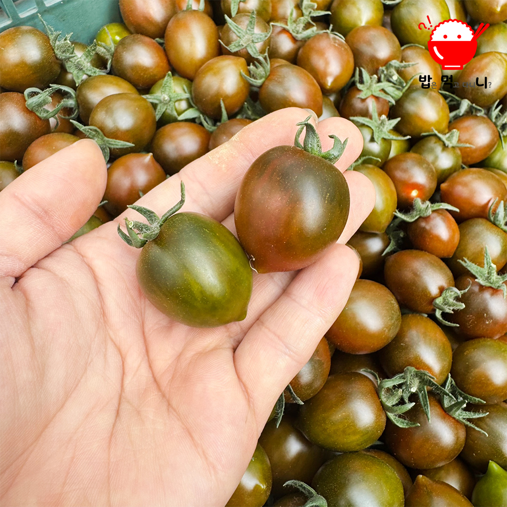대저 흑토마토 흑대추 방울토마토 고당도 쿠마토 1kg,500g,2kg - 상세 이미지 2