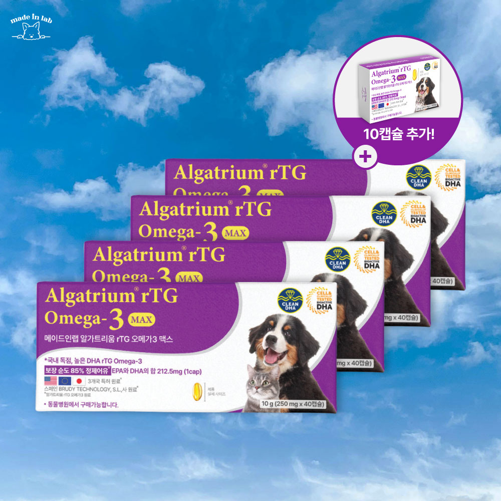 강아지 눈 영양제 오메가3 알가트리움 메이드인랩 눈건강, 250ml, 170개