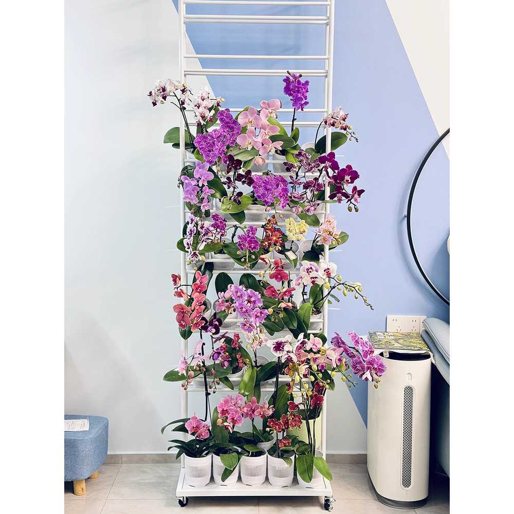 리본 정리대 걸이대 플라워 포장지 진열 도구 이동형 60x175cm - 상세 이미지 3
