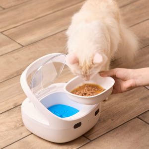 자동급식기 내밥이야 고양이 자동인식 슈어피드 다묘가정 RFID 강아지 반... 솔직 후기 | 실제 사용자 리뷰 총정리 - 상품 이미지 3