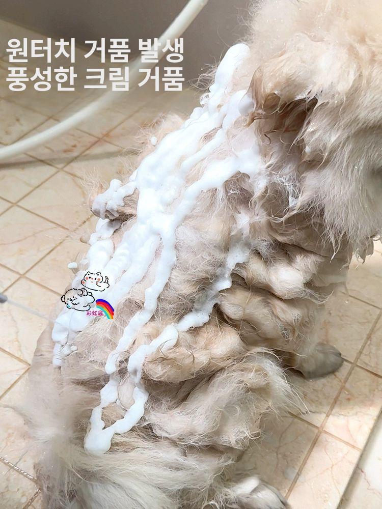 거품 미용실 중화기 거품기 충전식 폼건 분무기 펫 목욕 세트-기포기 샤워헤드 목욕 수건 - 상세 이미지 3