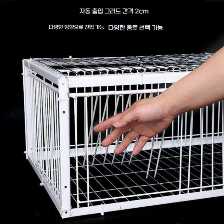 참새 덫 비둘기망 새 조류 트랩 케이지 까치 포획기 60x60x50cm 입구 4개 화이트 - 상세 이미지 3