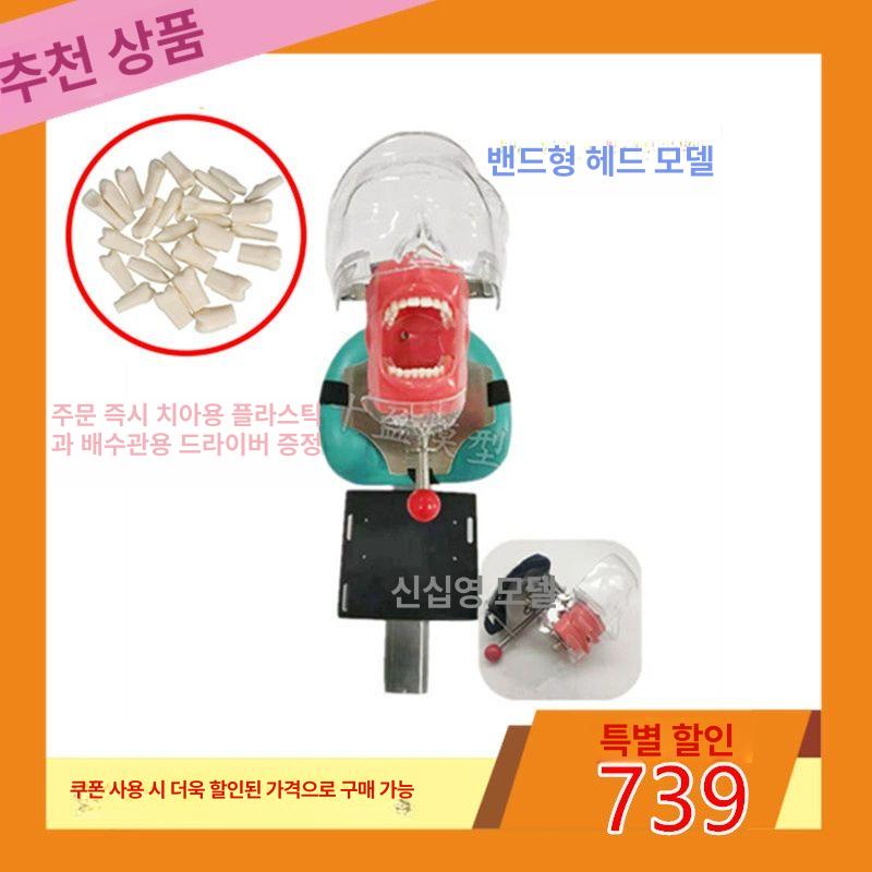 치과 실습 모형 연습 스케일링 치위생사 교구 환자 붕대 - 상세 이미지 2