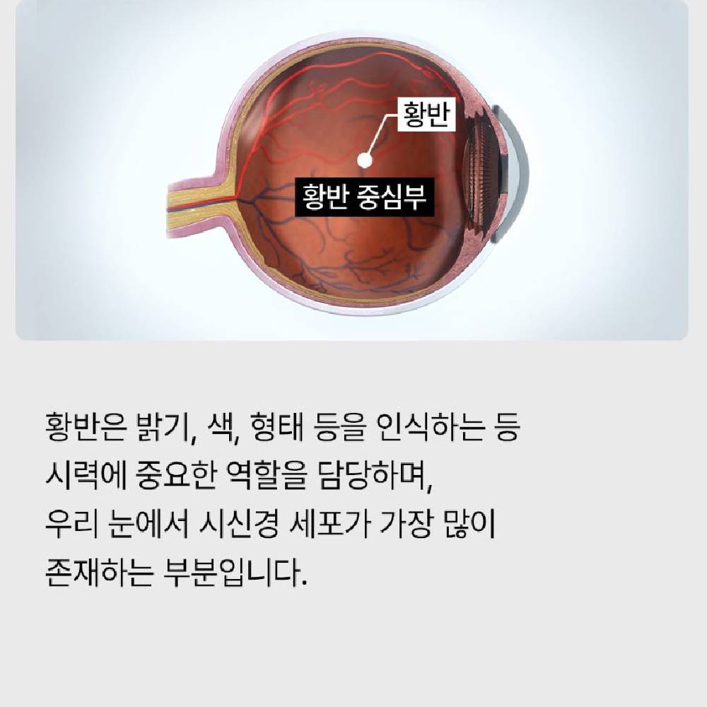 [웅진헬스원] 오직 멀티팩 종합비타민 미네랄 오메가3 루테인 하루1포(1개월분) 이미지 6